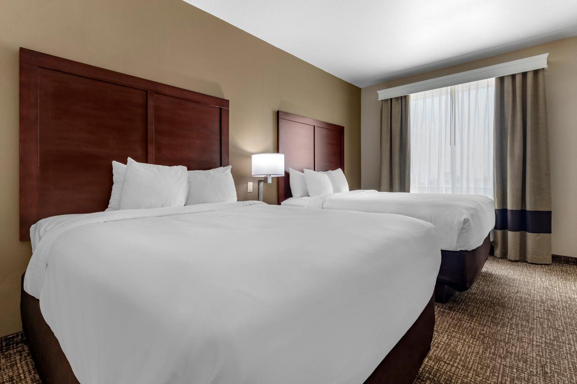 Comfort Suites Plano - Dallas North Buitenkant foto